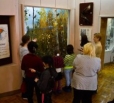 Дети посетили Вольский краеведческий музей