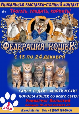 В Вольске пройдет выставка «Федерация кошек»